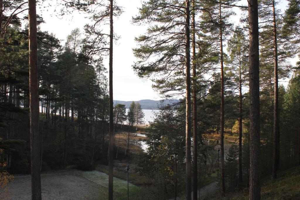 Hotel Tulikettu Sotkamo Exterior photo